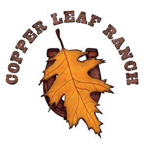 Meet your Posher, Copper